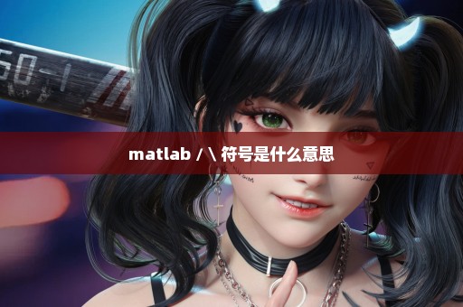 matlab / \ 符号是什么意思