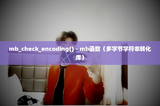 mb_check_encoding() - mb函数（多字节字符串转化库）