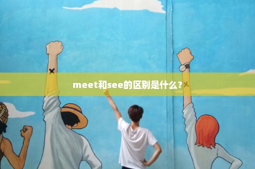 meet和see的区别是什么？