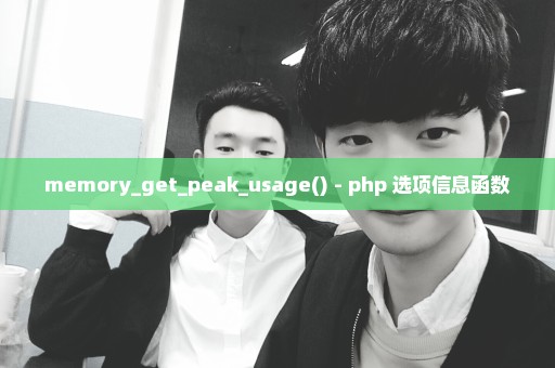 memory_get_peak_usage() - php 选项信息函数