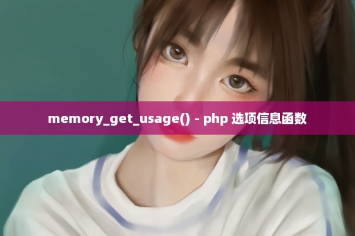 memory_get_usage() - php 选项信息函数