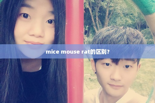 mice mouse rat的区别？