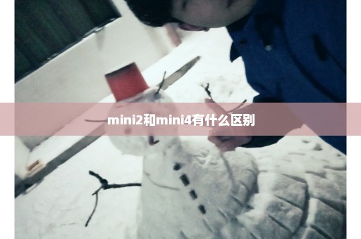 mini2和mini4有什么区别