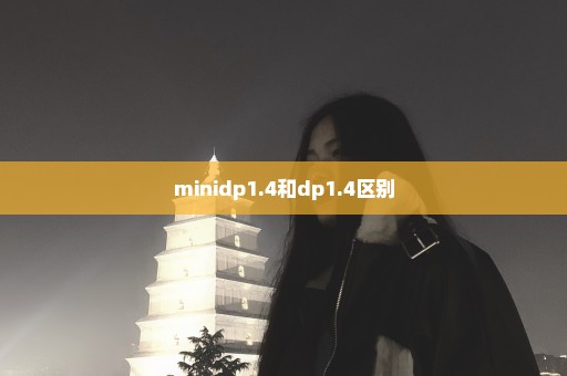 minidp1.4和dp1.4区别