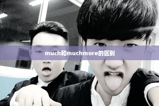 much和muchmore的区别