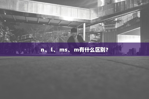 n、 l、 ms、 m有什么区别？