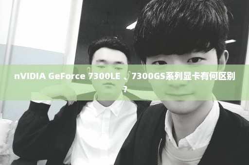 nVIDIA GeForce 7300LE 、7300GS系列显卡有何区别？