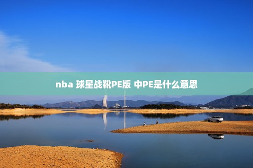 nba 球星战靴PE版 中PE是什么意思