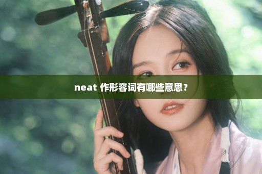 neat 作形容词有哪些意思？