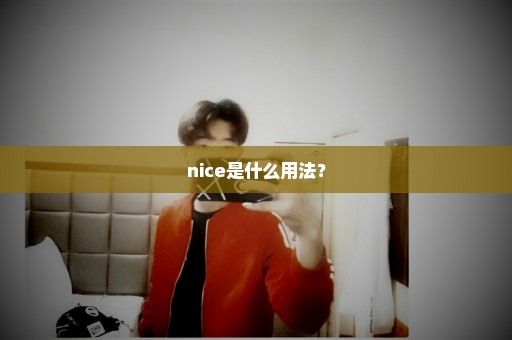 nice是什么用法？