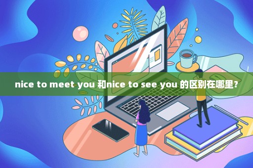 nice to meet you 和nice to see you 的区别在哪里？