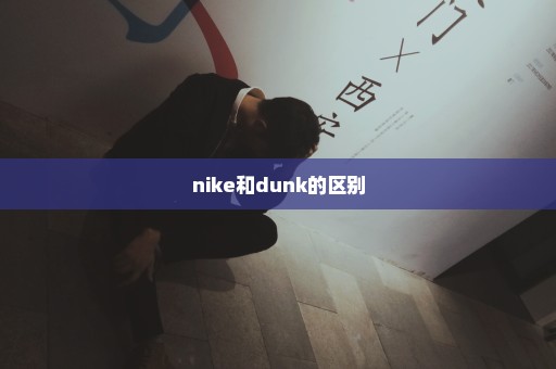 nike和dunk的区别