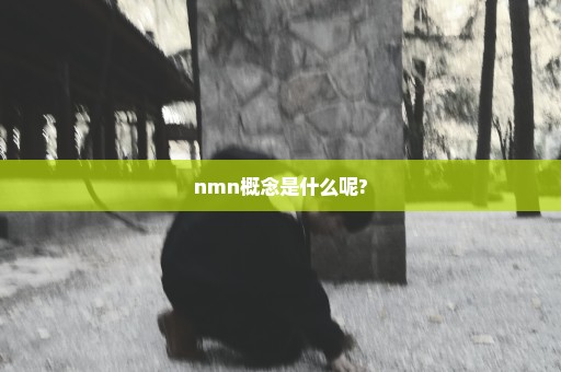 nmn概念是什么呢?