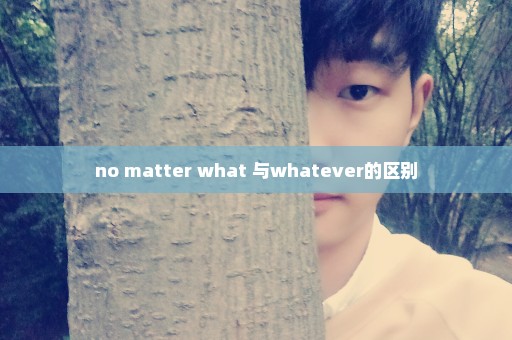 no matter what 与whatever的区别