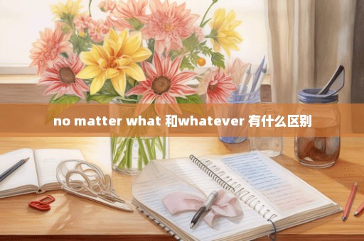 no matter what 和whatever 有什么区别