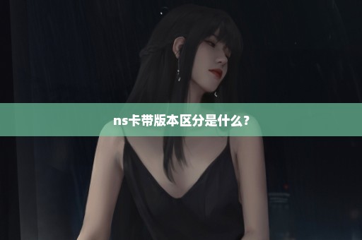 ns卡带版本区分是什么？