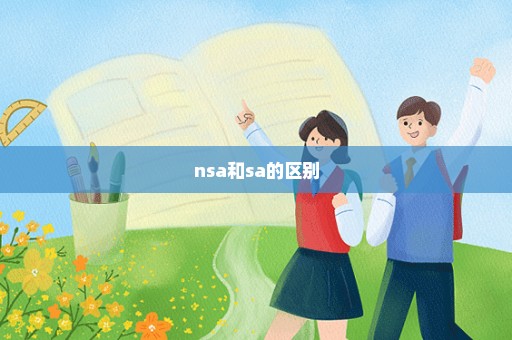 nsa和sa的区别