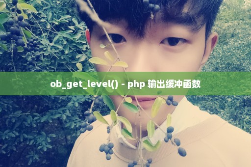 ob_get_level() - php 输出缓冲函数