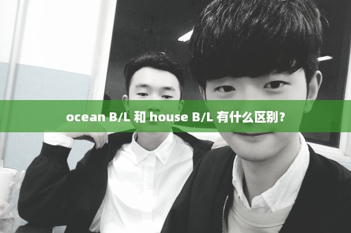 ocean B/L 和 house B/L 有什么区别？