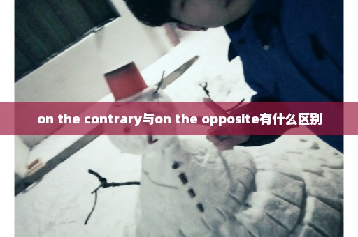 on the contrary与on the opposite有什么区别