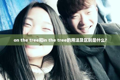 on the tree和in the tree的用法及区别是什么?