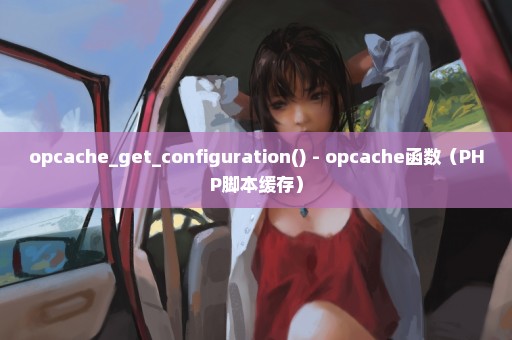 opcache_get_configuration() - opcache函数（PHP脚本缓存）