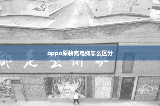 oppo原装充电线怎么区分