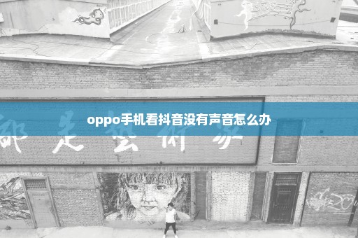 oppo手机看抖音没有声音怎么办