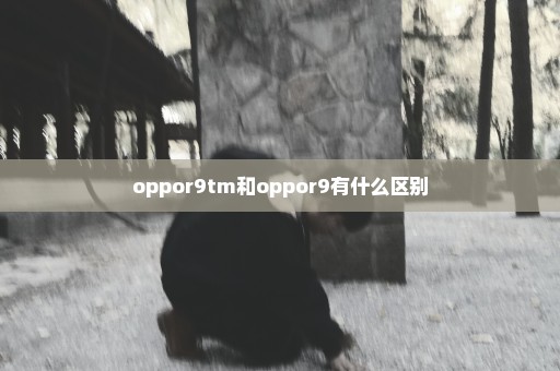 oppor9tm和oppor9有什么区别