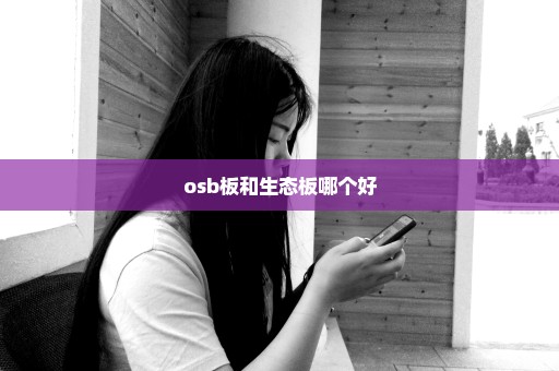 osb板和生态板哪个好