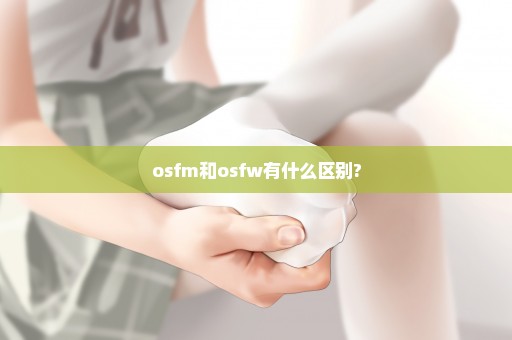 osfm和osfw有什么区别?