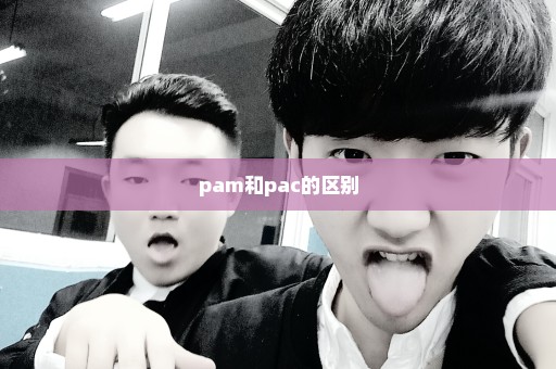 pam和pac的区别