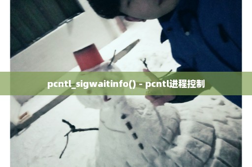 pcntl_sigwaitinfo() - pcntl进程控制