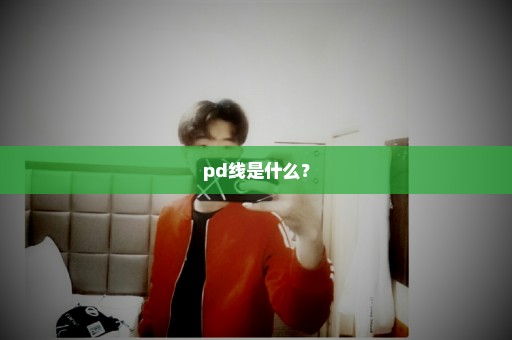 pd线是什么？