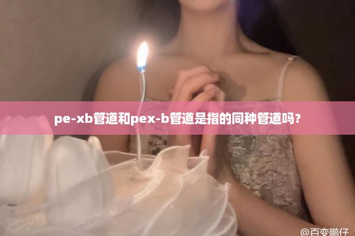 pe-xb管道和pex-b管道是指的同种管道吗？