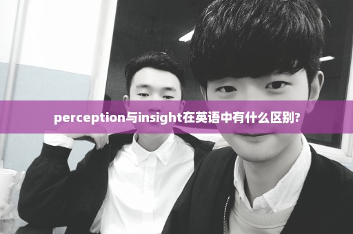 perception与insight在英语中有什么区别?