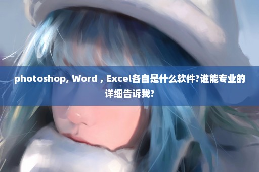 photoshop, Word , Excel各自是什么软件?谁能专业的详细告诉我?