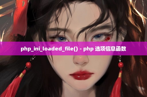 php_ini_loaded_file() - php 选项信息函数