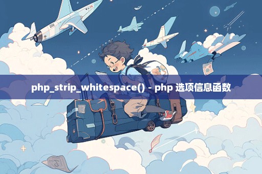 php_strip_whitespace() - php 选项信息函数