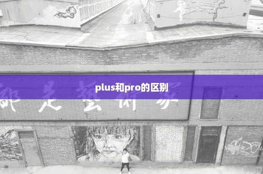 plus和pro的区别