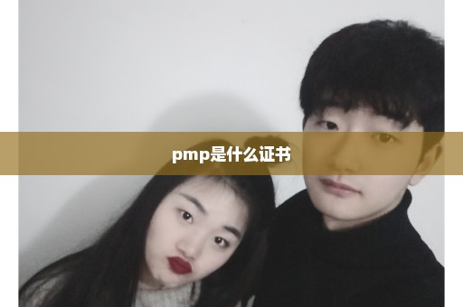 pmp是什么证书