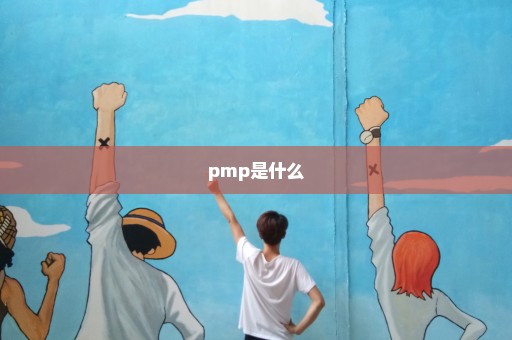 pmp是什么