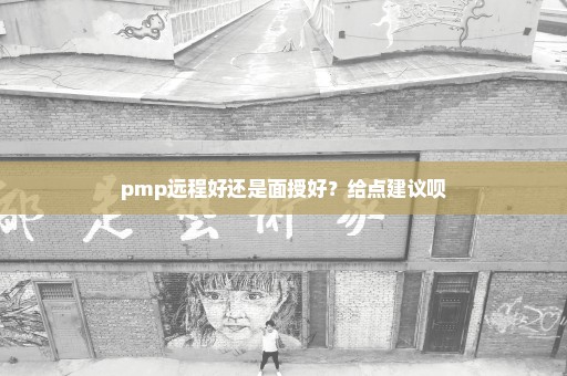 pmp远程好还是面授好？给点建议呗