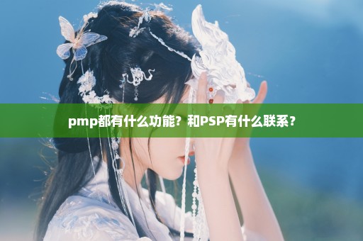 pmp都有什么功能？和PSP有什么联系？