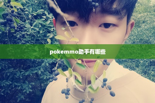 pokemmo助手有哪些