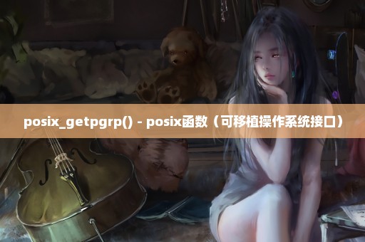 posix_getpgrp() - posix函数（可移植操作系统接口）