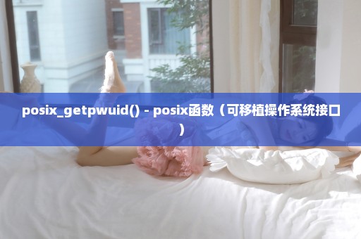 posix_getpwuid() - posix函数（可移植操作系统接口）