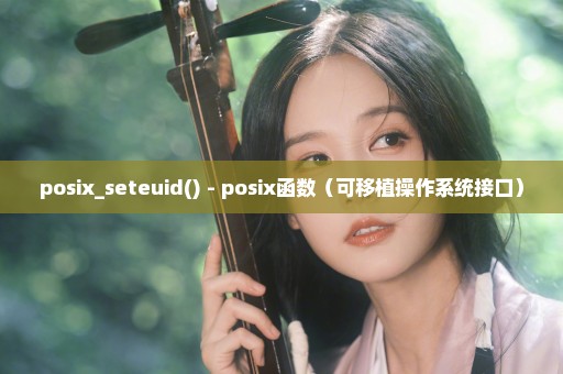 posix_seteuid() - posix函数（可移植操作系统接口）