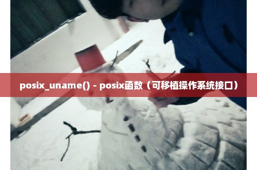 posix_uname() - posix函数（可移植操作系统接口）