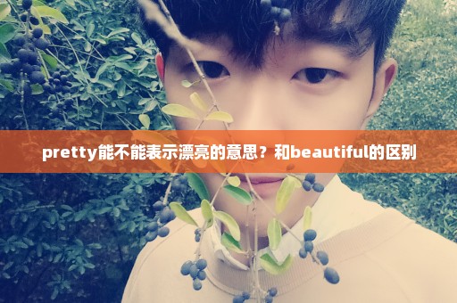 pretty能不能表示漂亮的意思？和beautiful的区别